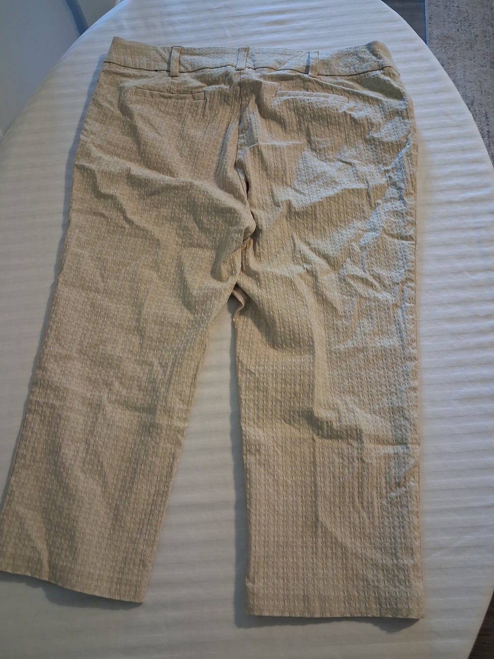 Beige Capris Size 16 - Picture 2 of 8